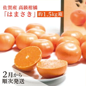 【ふるさと納税】【先行予約 2026年2月から順次発送】佐賀産 高級 柑橘 みかん 『 はまさき 』 約 1.5kg 箱 佐賀県 産 はまさき 甘い ジューシー 果汁 果肉 たっぷり 高級 柑橘 かんきつ 約 1.5kg フルーツ 果物 ギフト 贈答用 家庭用 b-376