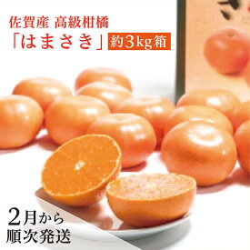 【ふるさと納税】【先行予約 2026年2月から順次発送】佐賀産 高級 柑橘 みかん 『 はまさき 』 約 3kg 箱 佐賀県 産 はまさき 甘い ジューシー 果汁 果肉 たっぷり 高級 柑橘 かんきつ 約 3kg フルーツ 果物 ギフト 贈答用 家庭用 c-105