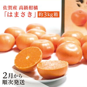 【ふるさと納税】【先行予約 2026年2月から順次発送】佐賀産 高級 柑橘 みかん 『 はまさき 』 約 3kg 箱 佐賀県 産 はまさき 甘い ジューシー 果汁 果肉 たっぷり 高級 柑橘 かんきつ 約 3kg フ