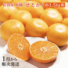 【ふるさと納税】【先行予約 2026年1月から順次発送】佐賀産 柑橘 みかん 『 せとか 』 約 1.5kg 箱 | 佐賀県 産 せとか 甘い 濃厚 柑橘 かんきつ 約 1.5kg フルーツ 果物 ギフト 贈答用 家庭用 b-377