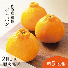 【ふるさと納税】【先行予約 2026年2月から順次発送】佐賀産 柑橘 みかん 『 デコポン 』 約 5kg 箱 佐賀県 産 糖度13度以上 甘酸バランス 濃厚な香り 不知火 しらぬい 柑橘 かんきつ デコポン 約 5kg 箱 b-379