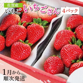 【ふるさと納税】【先行予約 2026年1月から順次発送】佐賀産 いちご 『 いちごさん 』 4パック 苺 イチゴ 佐賀県産 いちご 『 いちごさん 』 4パック フルーツ 果物 ギフト 贈答用 家庭用 b-381