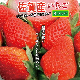 【ふるさと納税】【先行予約 2026年1月から順次発送】佐賀産 いちご ほのか さがほのか 品種おまかせ 4パック 苺 イチゴ 佐賀県 産 いちご ほのか さがほのか 4パック フルーツ 果物 ギフト 贈答用 家庭用 b-387