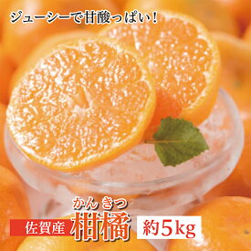 【ふるさと納税】 佐賀産 柑橘 （ かんきつ ） 約5kg 柑橘類 c－104