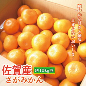 【ふるさと納税】佐賀産 みかん さがみかん 濃厚 約10kg 箱 | 佐賀県産 甘みたっぷり ジューシー 薄皮 佐賀みかん 約 10kg 箱 柑橘 ミカン 蜜柑 10キロ 10キロ フルーツ 果物 ギフト 贈答用 家庭用 b-388