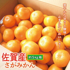 【ふるさと納税】佐賀産 みかん さがみかん 濃厚 約 5kg 箱 | 佐賀県産 甘みたっぷり ジューシー 薄皮 佐賀みかん 約 5kg 箱 柑橘 ミカン 蜜柑 5キロ 5キロ フルーツ 果物 ギフト 贈答用 家庭用 b-390
