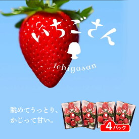 【ふるさと納税】【先行予約】佐賀県産 いちごさん 960g (240g×4パック) | 2027年1月より順次発送 苺 イチゴ フルーツ 果物 佐賀 _b-496