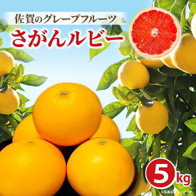 【ふるさと納税】さがんルビー 5kg（グレープフルーツ） _c-138