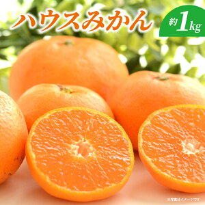 �y�ӂ邳�Ɣ[�Łz�n�E�X�݂��� ��1kg _c-139