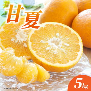 �y�ӂ邳�Ɣ[�Łz�É� 5kg _c-140