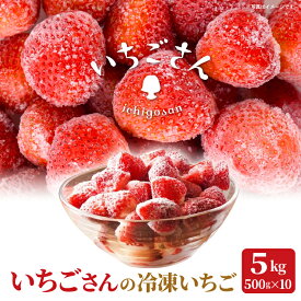 【ふるさと納税】冷凍いちご（いちごさん）5kg（500g×10） _k-30
