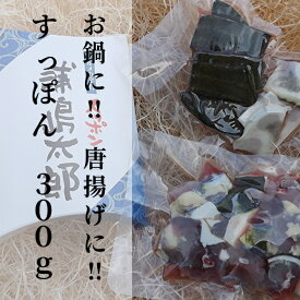 楽天市場 ふるさと納税 すっぽんの通販