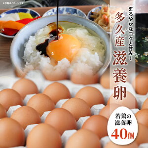 yӂ邳Ɣ[Łz܂₩ȃRNƊÂ {  40 {̎{ ܂ ^}S { ʎq e ܂ ܂͂ ł܂ Ic | ܂₩ȃRNƊÂ݁IvY 