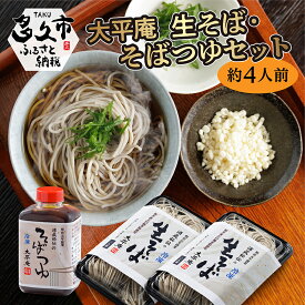 【ふるさと納税】 大平庵の 生そば ・ そばつゆセット (約4人前) 蕎麦 生そば そばつゆ セット | そば そばつゆ そばつゆセット _b-432