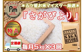 【ふるさと納税】【定期便】さがびより【白米】5kg×3回《マイスターセレクト》 B549