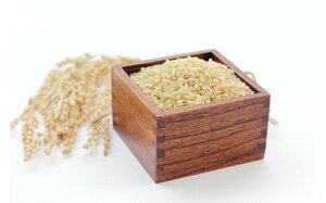 yӂ邳Ɣ[ŁzꌧY߂iAj 5kg×6 999-B829