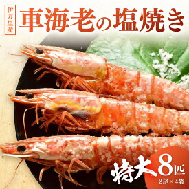 【ふるさと納税】伊万里産 大車海老の塩焼き8匹セット（1pc/2尾×4pc） 010-C167 【 くるまえび 甲殻類 殻付き 加熱用 BBQ 冷凍 海鮮 海老 エビ 車海老 クルマエビ 車エビ 特大 塩焼 セット ふるさと納税 海老 】