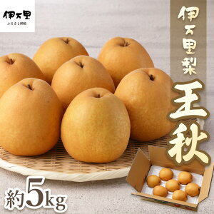 yӂ邳Ɣ[Łzy2025NYs\zyʌzɖuHv 5kg 178-B163 y Ԍ  6`12 t[c ʕ  Ȃ iV 10\ ӂ邳Ɣ[ s\  H fU