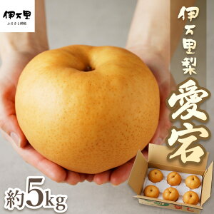 yӂ邳Ɣ[Łzyߘa7NYs\zyʌzɖ uv 5kg ^ 178-B164 y Ԍ  4`8 t[c ʕ  Ȃ iV 11\ ӂ邳Ɣ[ s\  