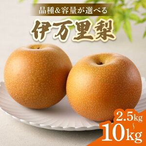 yӂ邳Ɣ[Łzy2026NYs\zɖ iEeʂIׂ^K ELEÂEVEHEÑE i 2.5kgE5kgE10kg jy ӂ邳Ɣ[ s\  ɖ K 