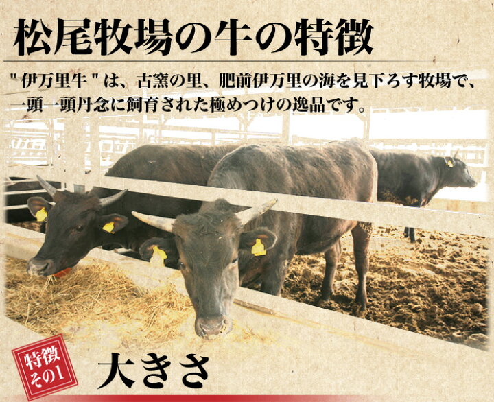 楽天市場 ふるさと納税 伊万里牛赤身ブロック500ｇ J173 佐賀県伊万里市