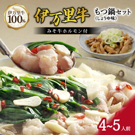 【ふるさと納税】伊万里牛もつ鍋セット 4人前～5人前 ホルモン600g おつまみ みそ牛ホルモン 付き 007-J1450