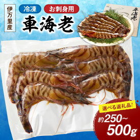 【ふるさと納税】お刺身用冷凍ジャンボ車海老＜容量が選べる／250gx1pc+海老じゃん1本付き もしくは 250gx2pc＞ 【 くるまえび 甲殻類 海鮮 魚介類 シーフード 生食 】