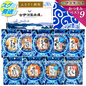 【ふるさと納税】古伊万里浪漫 おつまみ 9選（するめ さきいか等） 014-G309