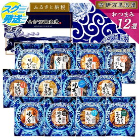【ふるさと納税】おつまみ12選 さきいか するめ 014-G310