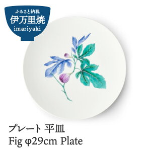 yӂ邳Ɣ[Łz Fig 29cm Plate 028-H829