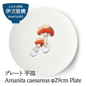 yӂ邳Ɣ[ŁzAmanita caesareus 29cm Plate 028-H835