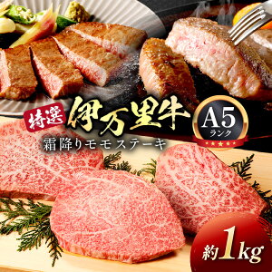 yӂ邳Ɣ[ŁzI ɖ A5 ~ Xe[L 1kg 044-J176y ꋍ  uh јa  ^pbN Jbgς Ԑg  ɖ  ~ Xe[