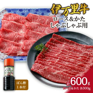yӂ邳Ɣ[Łzɖ [X & ijԂԗpiv600gj 061-J361