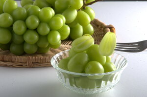 yӂ邳Ɣ[Łzy ʌ z ߘa8NY ɖY VC}XJbg 1.3kg 197-B887