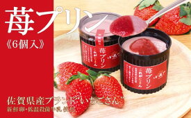 【ふるさと納税】佐賀県産ブランド“いちごさん”100％使用 苺プリン6個入 F169