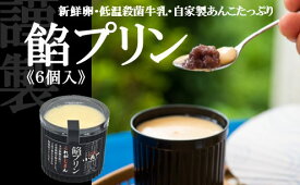 【ふるさと納税】どら焼き屋の自家製あんこが美味しい 餡プリン6個入 080-F260【贈り物 贈答 熨斗 引菓子 法要 法事 内祝い 慶事 】