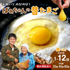 【ふるさと納税】平飼いで のびのび養鶏！ばあちゃんの昔たまご 割れ保証あり 20個 40個 60個 1回 3回 6回 12回【 定期便 卵 鶏卵 玉子 新鮮 卵かけご飯 卵焼き TKG 家庭用 ふるさと納税 定期便 卵 たまご 平飼い 】