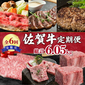 yӂ邳Ɣ[ŁzyS6zꋍ v6.05kg 999-J474