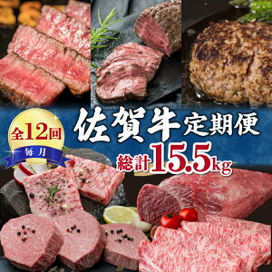 yӂ邳Ɣ[ŁzyS12z͂ꋍ v15.5kg 999-J475