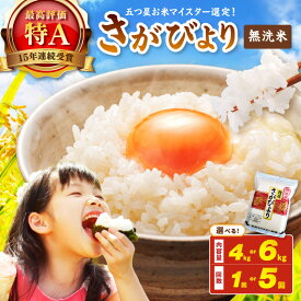 【ふるさと納税】【無洗米】お米マイスター厳選!!さがびより【真空パック】＜内容量 回数が選べる／4kg・6kg・ 1回・ 5回 ＞【 白米精米ブランド米佐賀県産五つ星佐賀お米こめさがびより真空パックふるさと納税 米 無洗米 生活応援 】