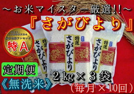 【ふるさと納税】【定期便】無洗米『さがびより』2kg×3袋　毎月×10回 B542