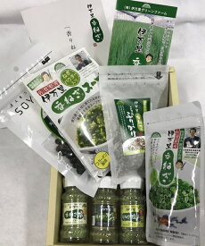 【ふるさと納税】伊万里香ねぎ厳選セット 089-G093