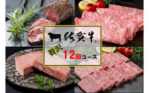 yӂ邳Ɣ[Łzꋍґ12R[X 999-J903y ꋍ Y a   Mtg    ӂ邳Ɣ[  z