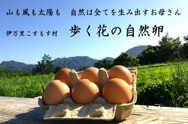 【ふるさと納税】伊万里こすもす村　歩く花　たまご　卵　6個入り×2箱×2回定期便 B530