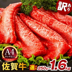 �y�ӂ邳�Ɣ[�Łz�y ���ꋍ �z �󂠂�I �Ԑg ���~�� ����Ԃ���� �����Ă� �p�y������ /�����������I�ׂ�z�y ���e�ʂ��I�ׂ� 250g �` 1.6kg �z�y ���� �u�����h�� A4�����N�ȏ� ���јa�� ����