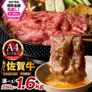 yӂ邳Ɣ[ŁzyƓẃzꋍ I Ԃ E Ăp yeʁEIׂzi 250g 500g 750g 1.0kg 1.6kg j y  uh јa  Ԑg XCX Ă 