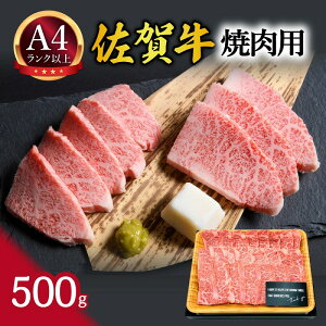 yӂ邳Ɣ[Łzy ꋍ z I ēp 500g 159-J1038