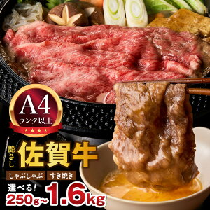 yӂ邳Ɣ[Łzy12\zꋍ I Ԃ E Ăp yeʁEIׂzi 250g 500g 750g 1.0kg 1.6kg j y  uh јa  Ԑg XCX 