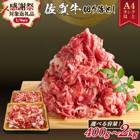 【ふるさと納税】【企業努力】 佐賀牛 訳あり 切り落とし【小分け / 発送時期が選べる】【 内容量が選べる 400g 〜 2.0kg】【 牛肉 ブランド牛 黒毛和牛 焼肉 肉じゃが 牛丼 ふるさと納税 佐賀牛 切落し 小分け 訳あり しゃぶしゃぶ 楽天限定 】