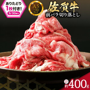yӂ邳Ɣ[ŁzyƓẃzyꋍzOo ؂藎Ƃ 400g 150-J658 y  uh јa yV z